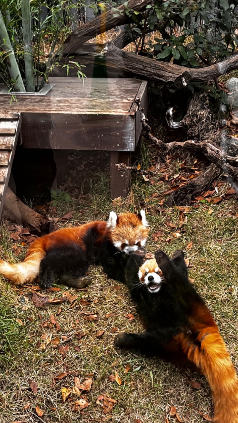 サウナ田ヒロアキさんのサウナ&カプセルホテル 北欧のサ活写真