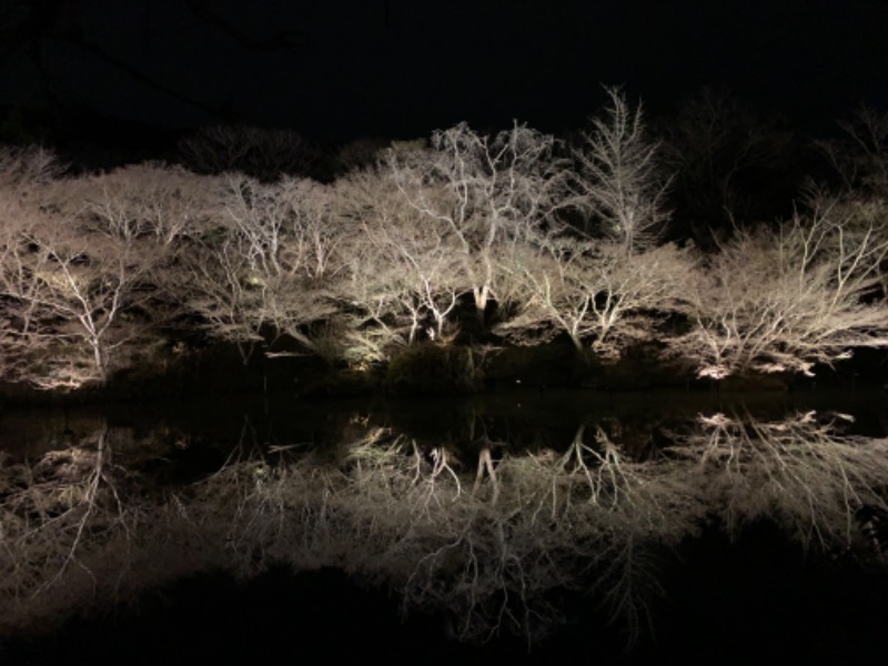 あゆさんさんの御船山楽園ホテル  らかんの湯のサ活写真