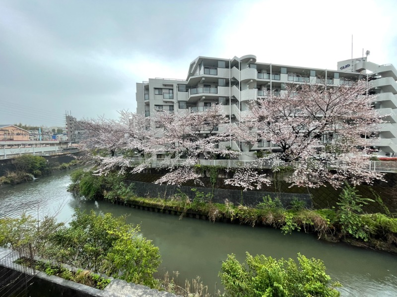 ハイヂさんの天然温泉 満天の湯のサ活写真