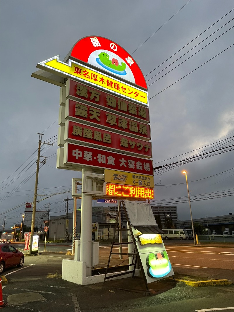 ハイヂさんの湯の泉 東名厚木健康センターのサ活写真