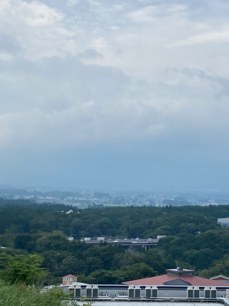 早朝🦦さんの木の花の湯(HOTEL CLAD)のサ活写真