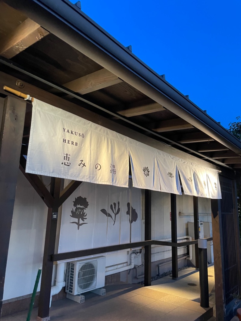 どmサウナーさんの岐阜各務原 恵みの湯のサ活写真