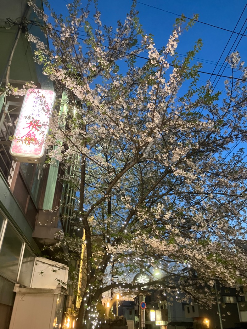 睡蓮さんの桜館のサ活写真