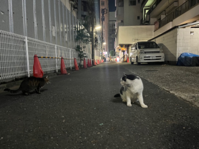 praise youさんのルビーパレスのサ活写真