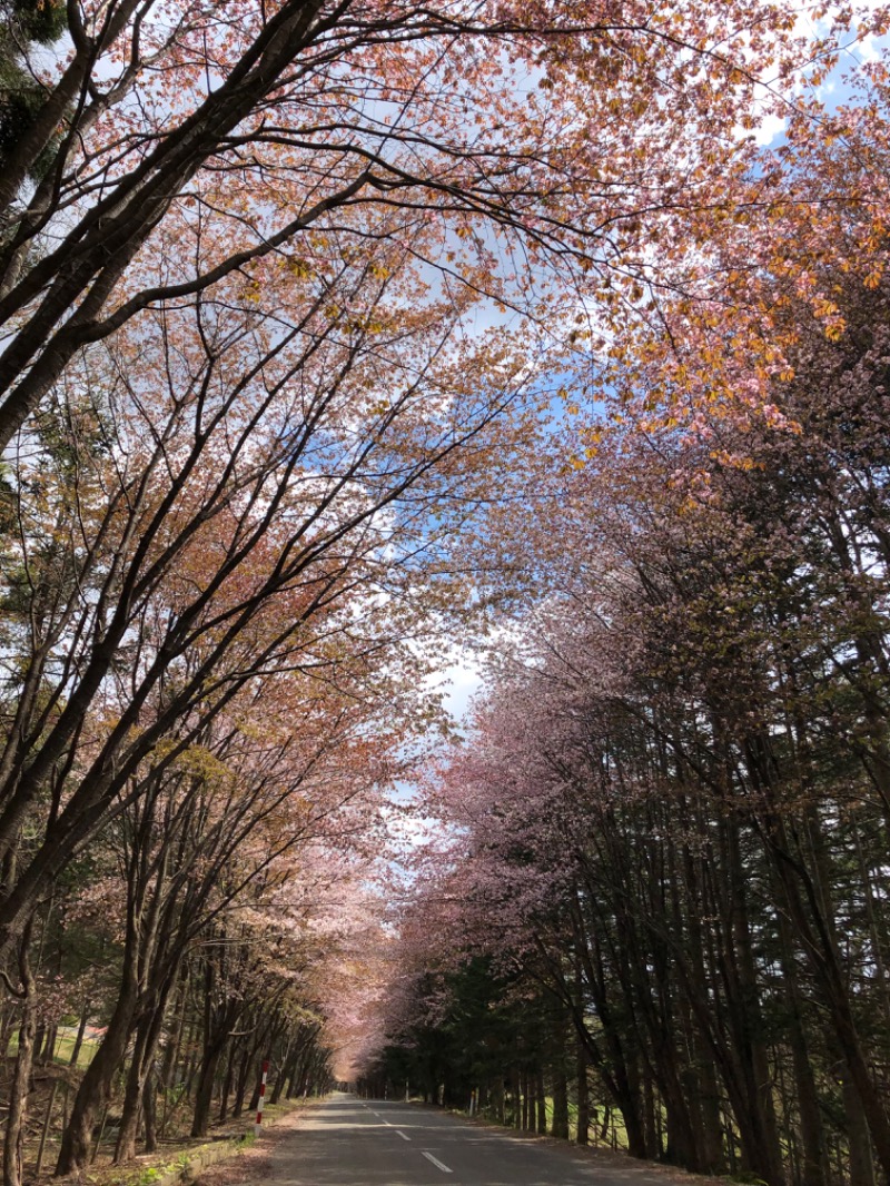 tsunetty0138さんの城東温泉 岩木天望の湯のサ活写真