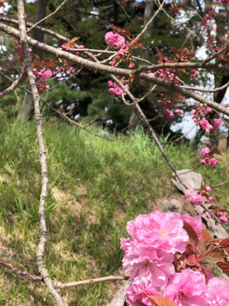 tsunetty0138さんの城東温泉 岩木天望の湯のサ活写真