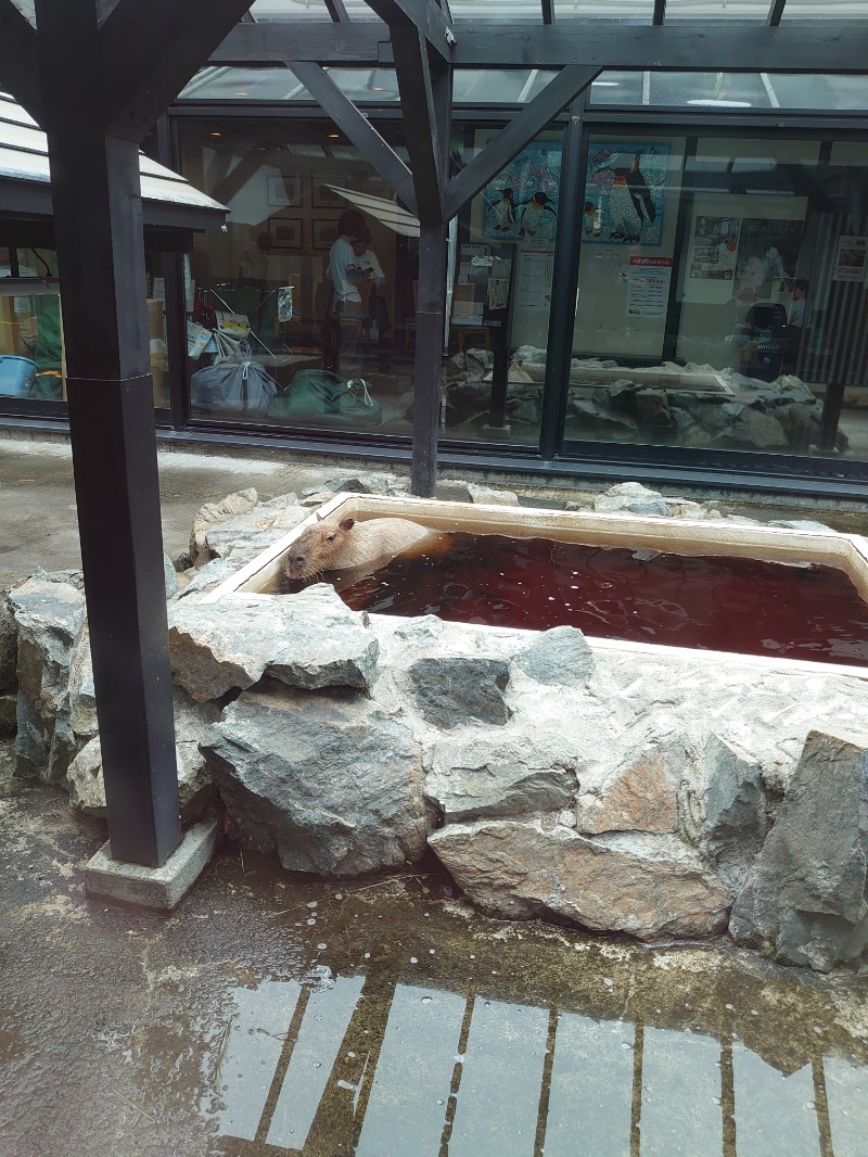 水分補給は瓶コーラさんの石狩天然温泉 番屋の湯のサ活写真