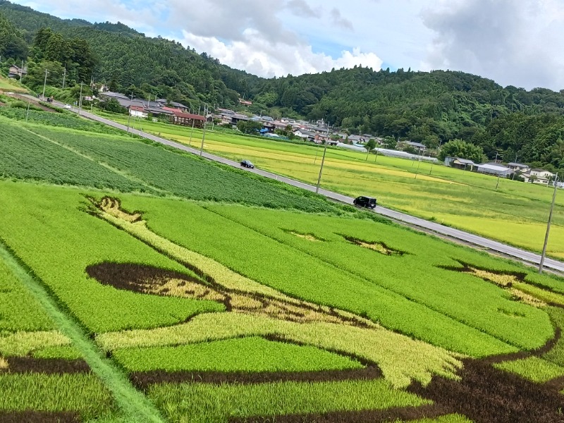 あいこねこさんのアクアイグニス仙台 藤塚の湯のサ活写真