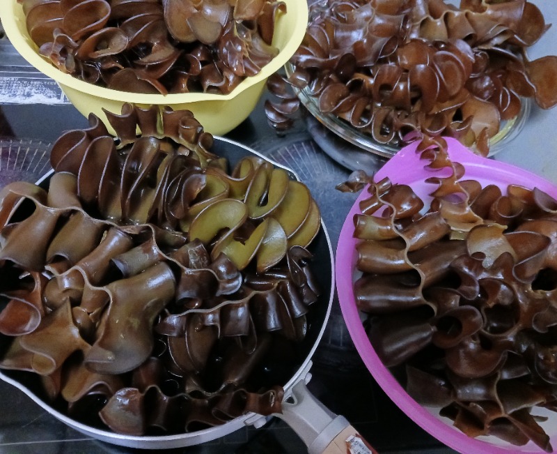 あいこねこさんの天然温泉 元気の湯のサ活写真