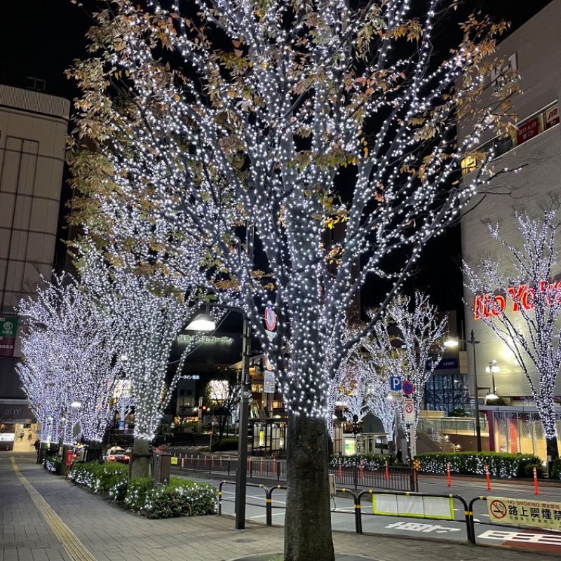 紅鮭さんのおふろの王様 大井町店のサ活写真