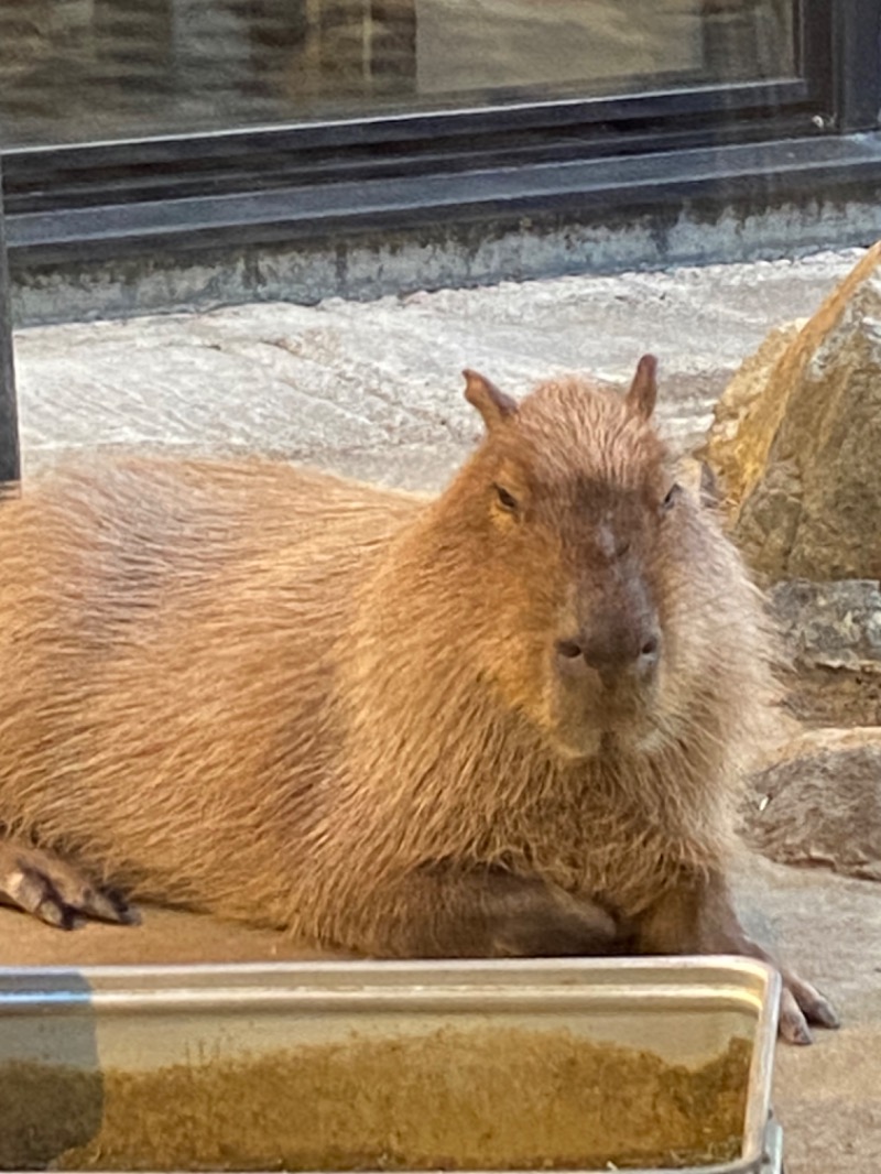 ととのえ足軽さんの石狩天然温泉 番屋の湯のサ活写真