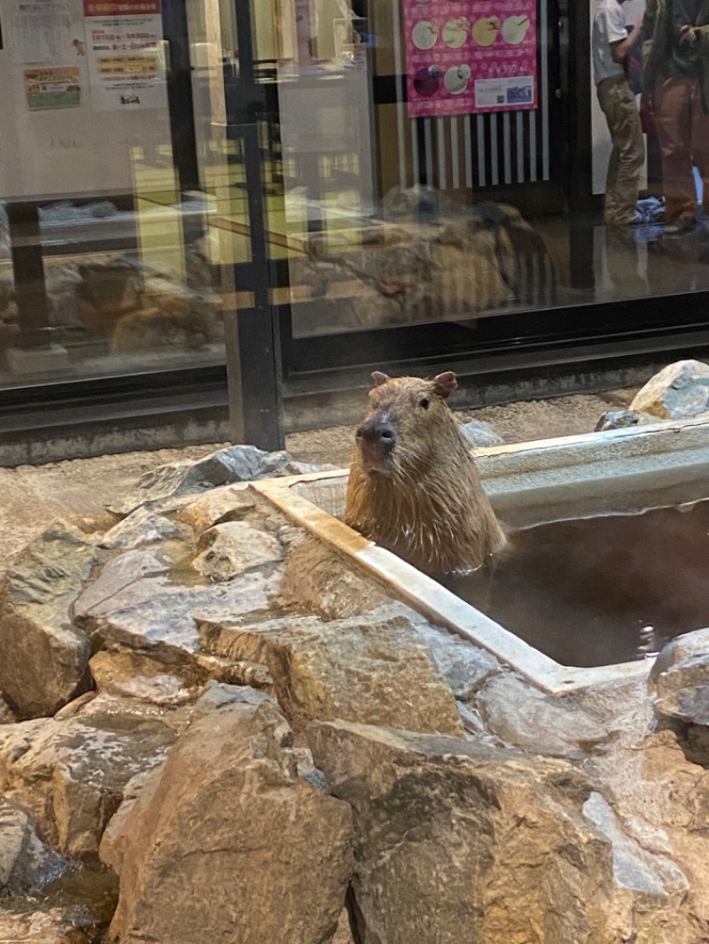 ととのえ足軽さんの石狩天然温泉 番屋の湯のサ活写真