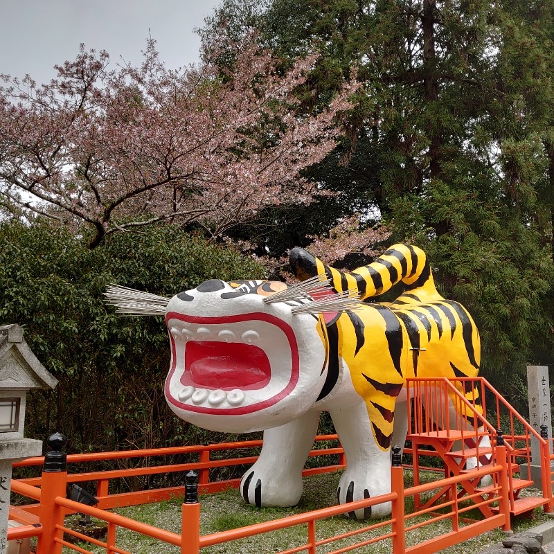 るり氏*GFさんの信貴の湯のサ活写真