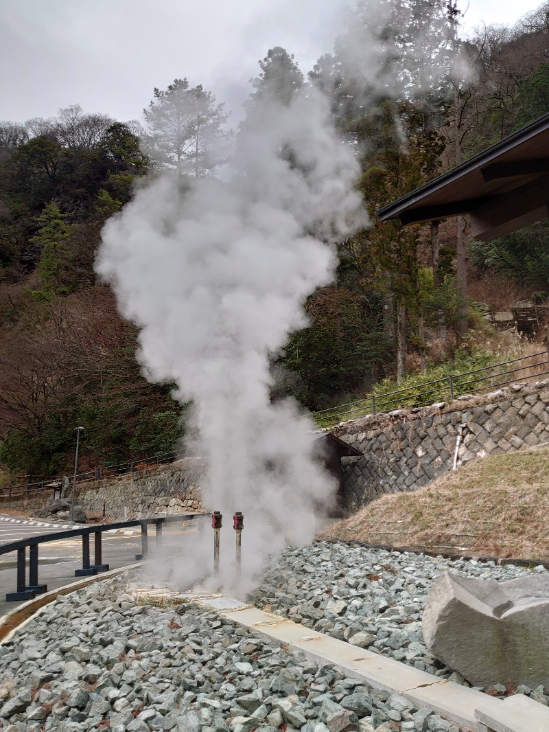 ダグさんの垂玉温泉 瀧日和のサ活写真