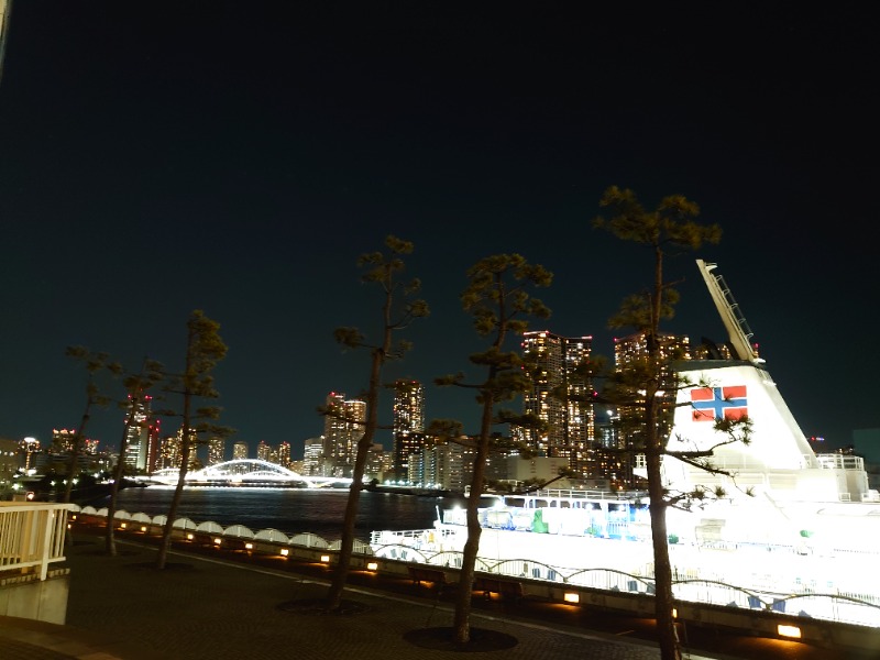 ダグさんのアジュール竹芝 天空の湯のサ活写真