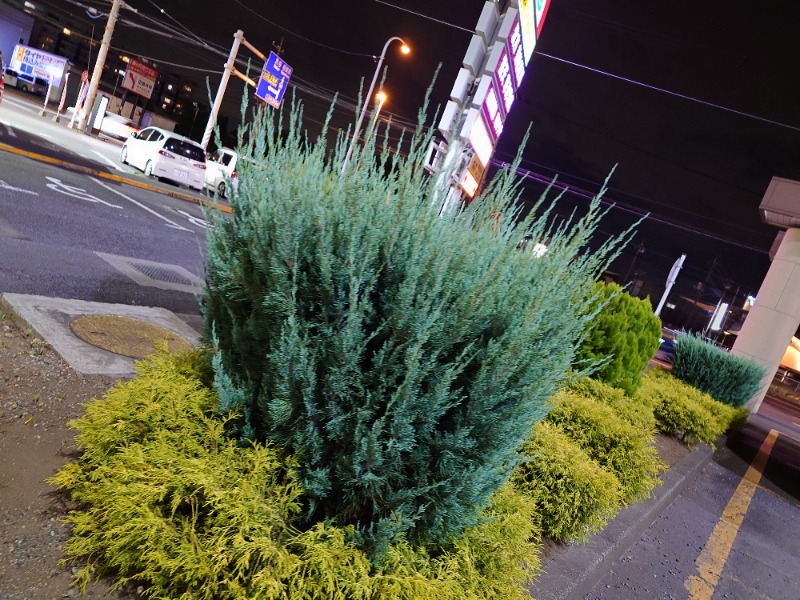 kakkunyaさんの湯乃泉 東名厚木健康センターのサ活写真