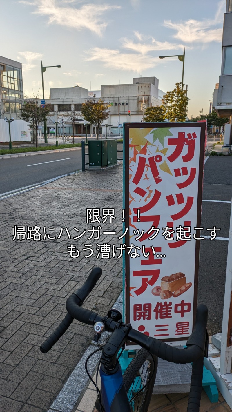 半額王子さんの湖畔の宿支笏湖 丸駒温泉旅館のサ活写真