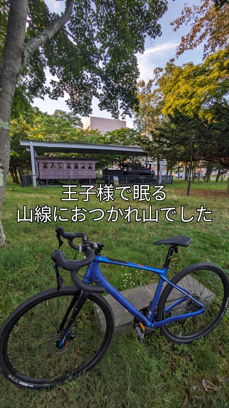 半額王子さんの湖畔の宿支笏湖 丸駒温泉旅館のサ活写真