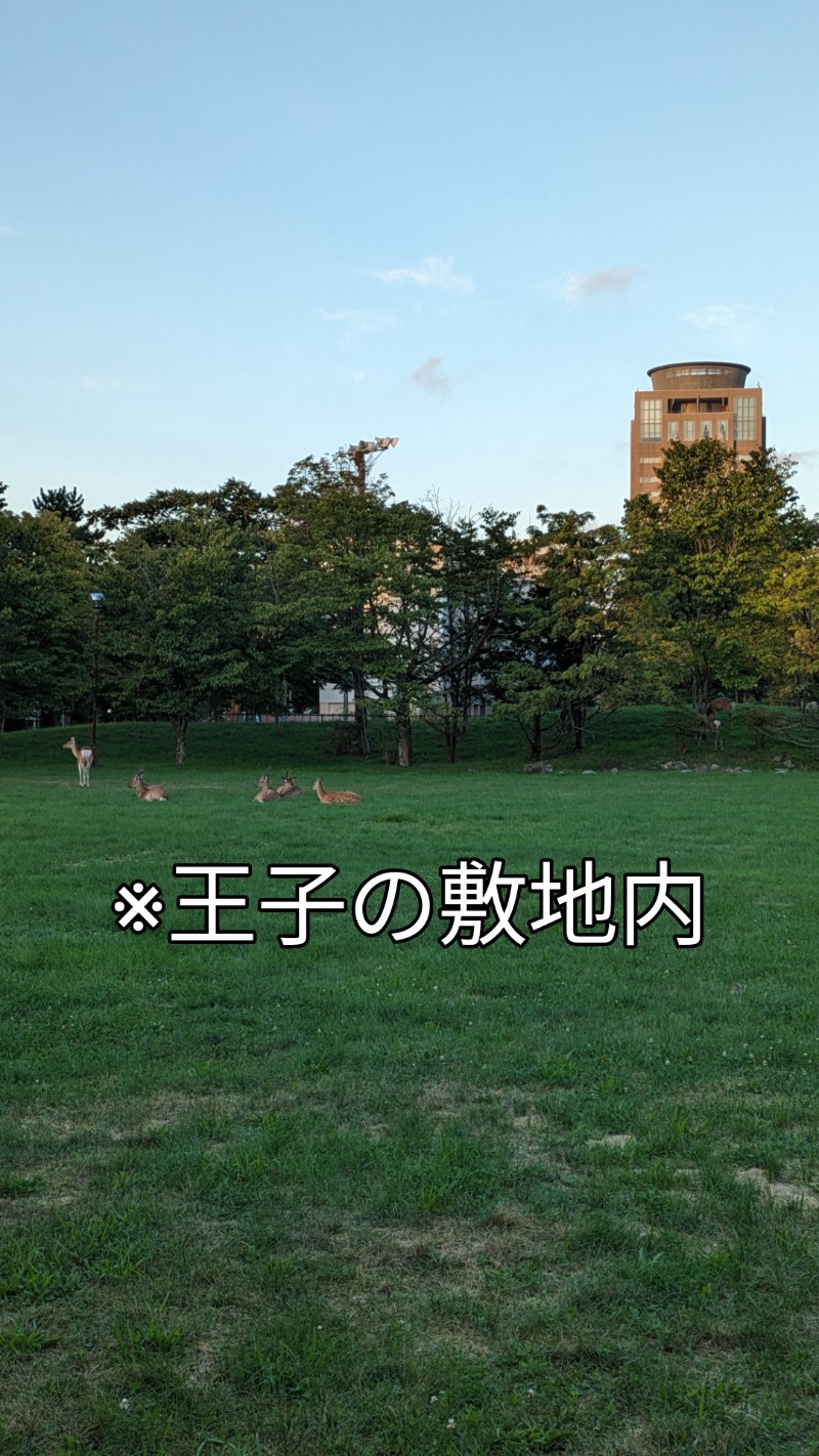 半額王子さんの湖畔の宿支笏湖 丸駒温泉旅館のサ活写真