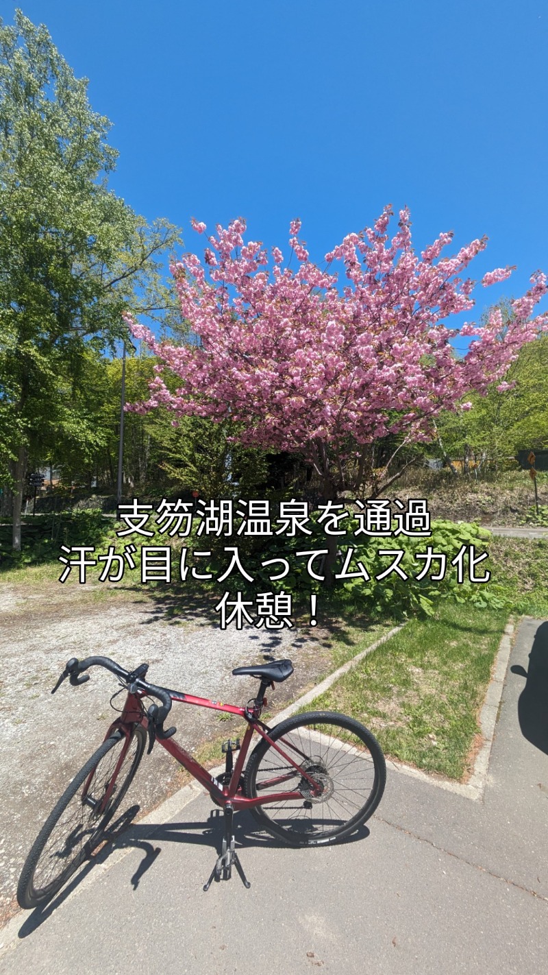 半額王子さんの湖畔の宿支笏湖 丸駒温泉旅館のサ活写真