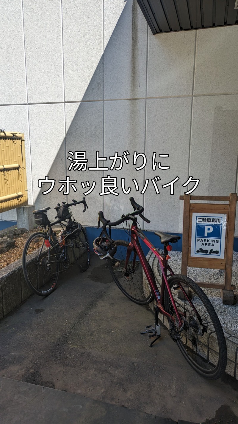 半額王子さんの湖畔の宿支笏湖 丸駒温泉旅館のサ活写真