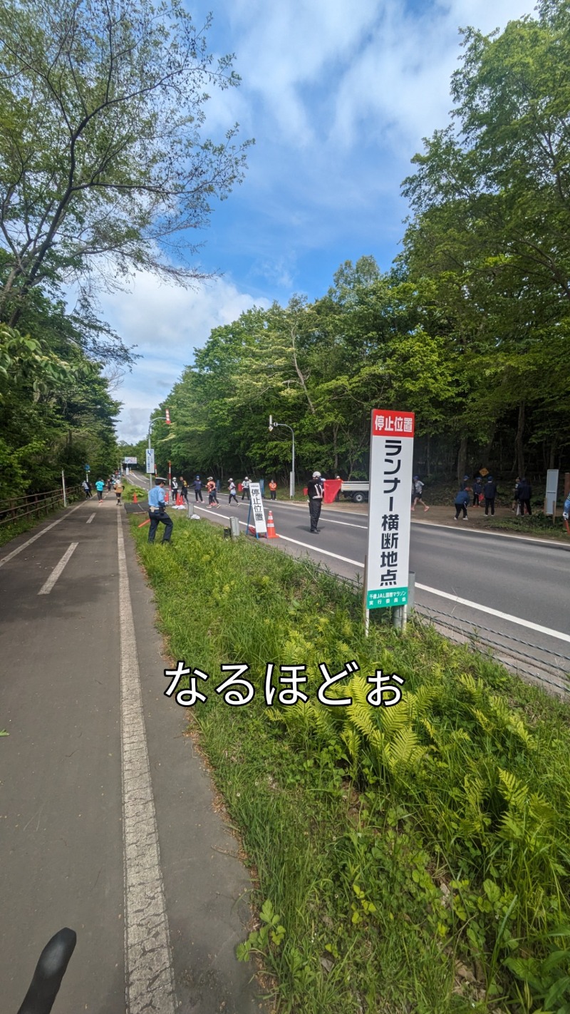 半額王子さんの湖畔の宿支笏湖 丸駒温泉旅館のサ活写真