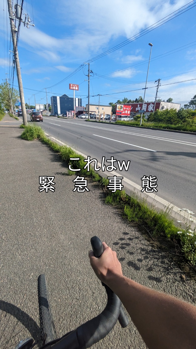 半額王子さんの湖畔の宿支笏湖 丸駒温泉旅館のサ活写真