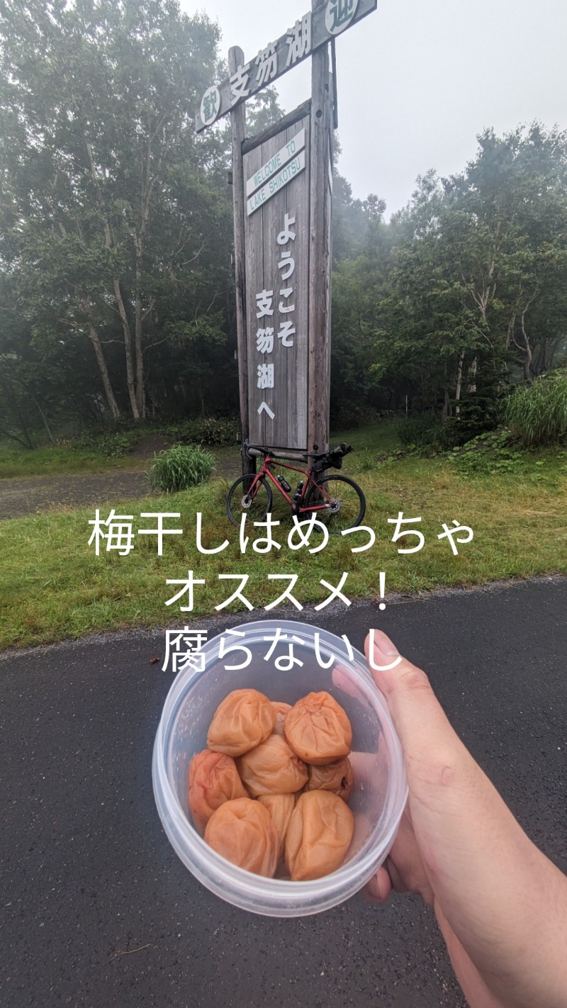 半額王子さんの湖畔の宿支笏湖 丸駒温泉旅館のサ活写真