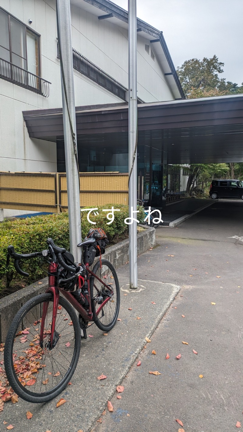 半額王子さんの湖畔の宿支笏湖 丸駒温泉旅館のサ活写真