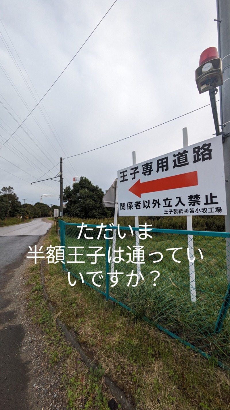 半額王子さんの湖畔の宿支笏湖 丸駒温泉旅館のサ活写真