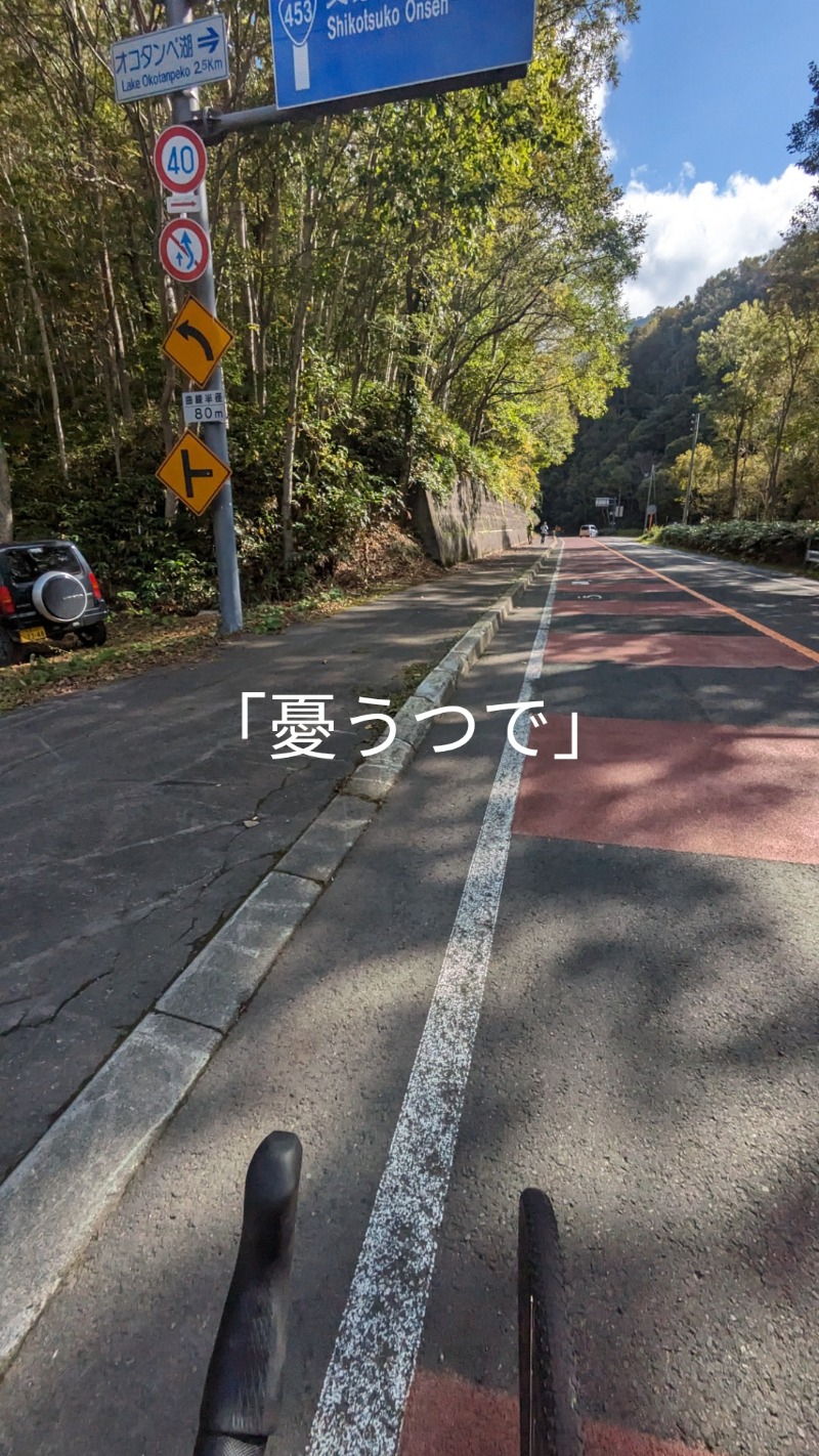 半額王子さんの湖畔の宿支笏湖 丸駒温泉旅館のサ活写真