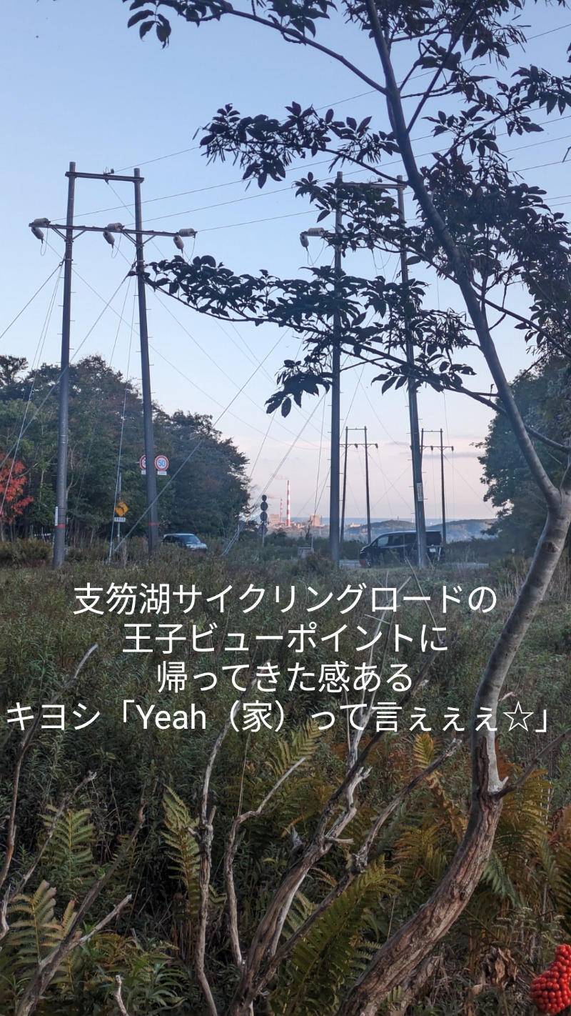 半額王子さんの湖畔の宿支笏湖 丸駒温泉旅館のサ活写真