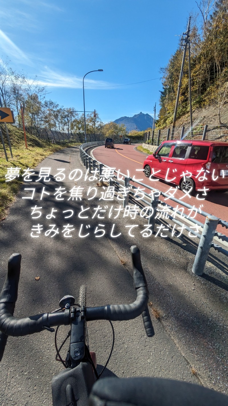 半額王子さんの湖畔の宿支笏湖 丸駒温泉旅館のサ活写真