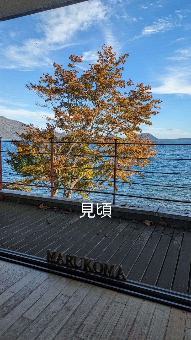 半額王子さんの湖畔の宿支笏湖 丸駒温泉旅館のサ活写真