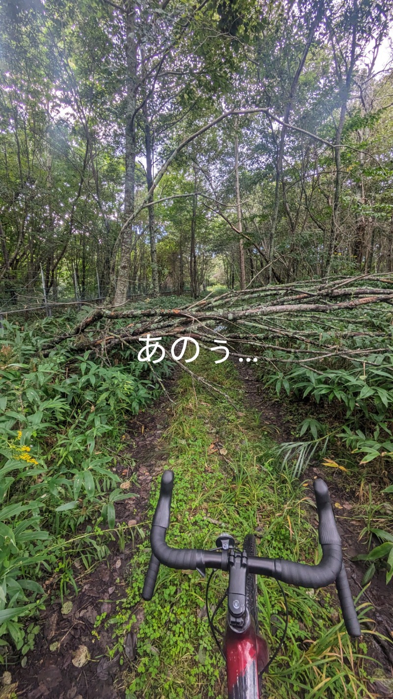 半額王子さんの湯けむりパーク湯らん銭のサ活写真