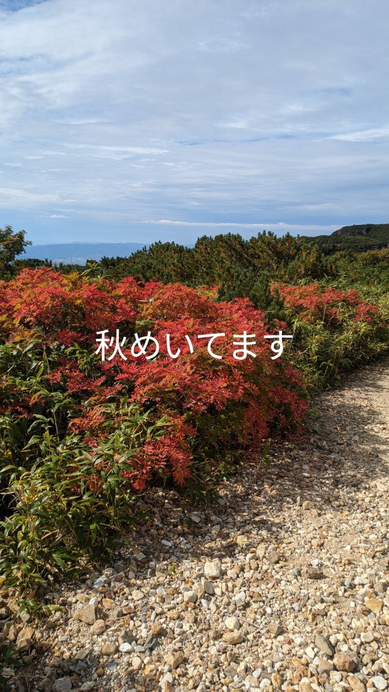 半額王子さんの十勝岳温泉 凌雲閣のサ活写真