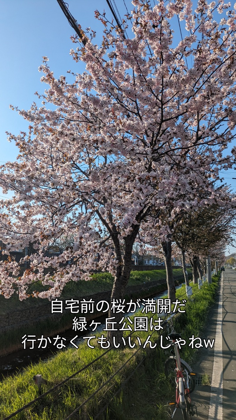 半額王子さんの公園湯のサ活写真