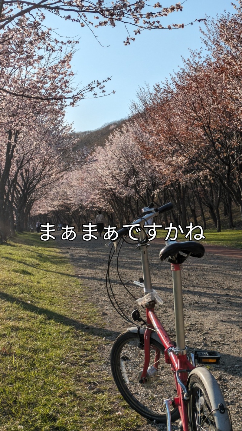 半額王子さんの公園湯のサ活写真