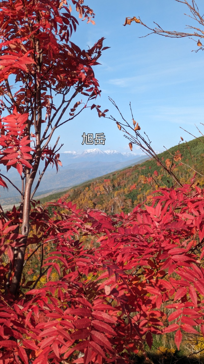 半額王子さんの吹上温泉保養センター 白銀荘のサ活写真