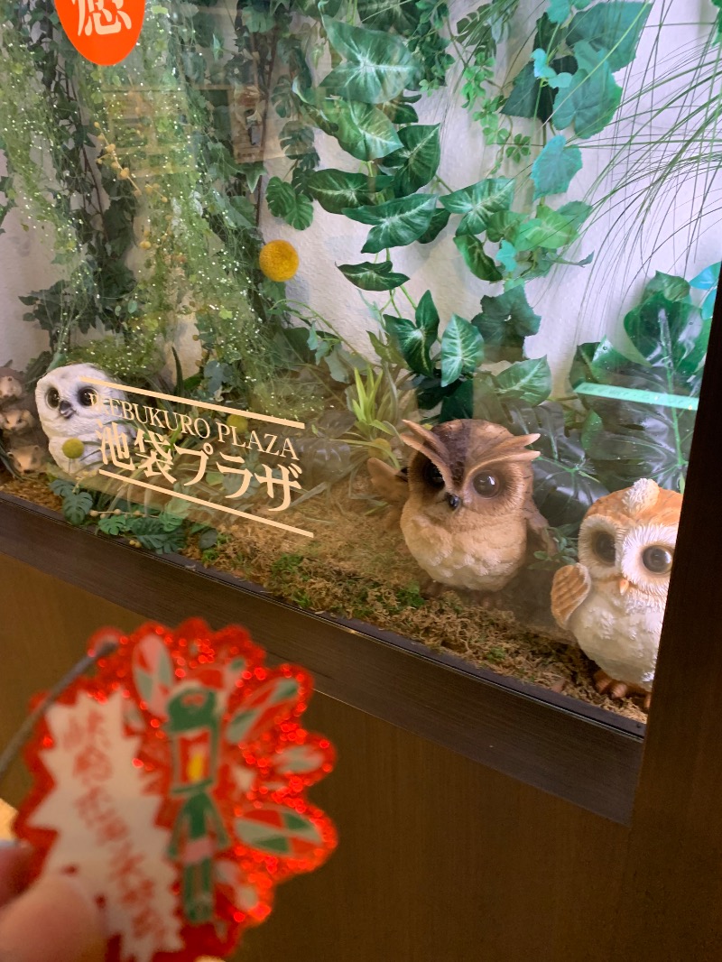 髭帽子さんのカプセルホテル&サウナ 池袋プラザのサ活写真