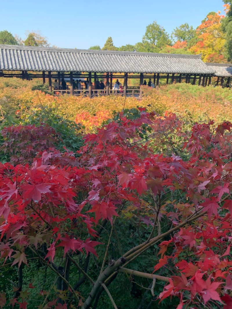 髭帽子さんの白山湯 六条店のサ活写真