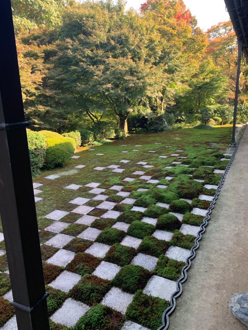 髭帽子さんの白山湯 六条店のサ活写真