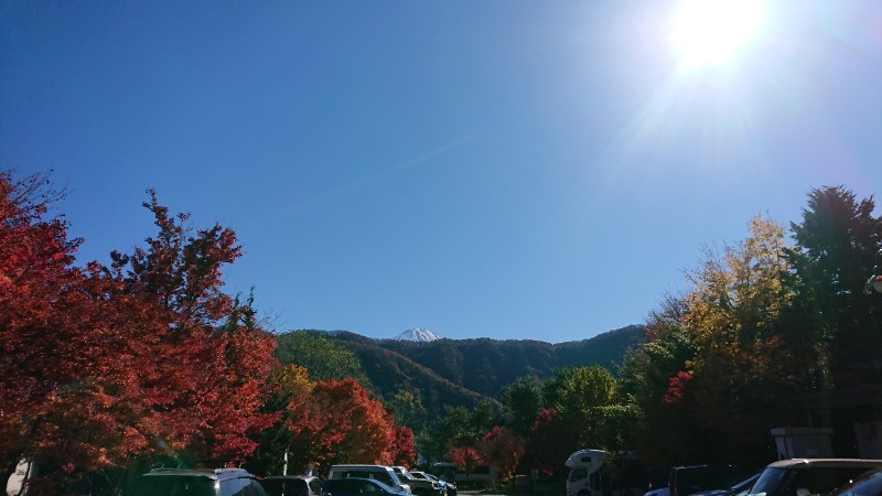 忍者マッキーさんの富士西湖温泉 いずみの湯のサ活写真