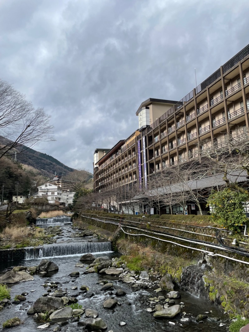 虫親父さんの箱根湯本温泉 天成園のサ活写真