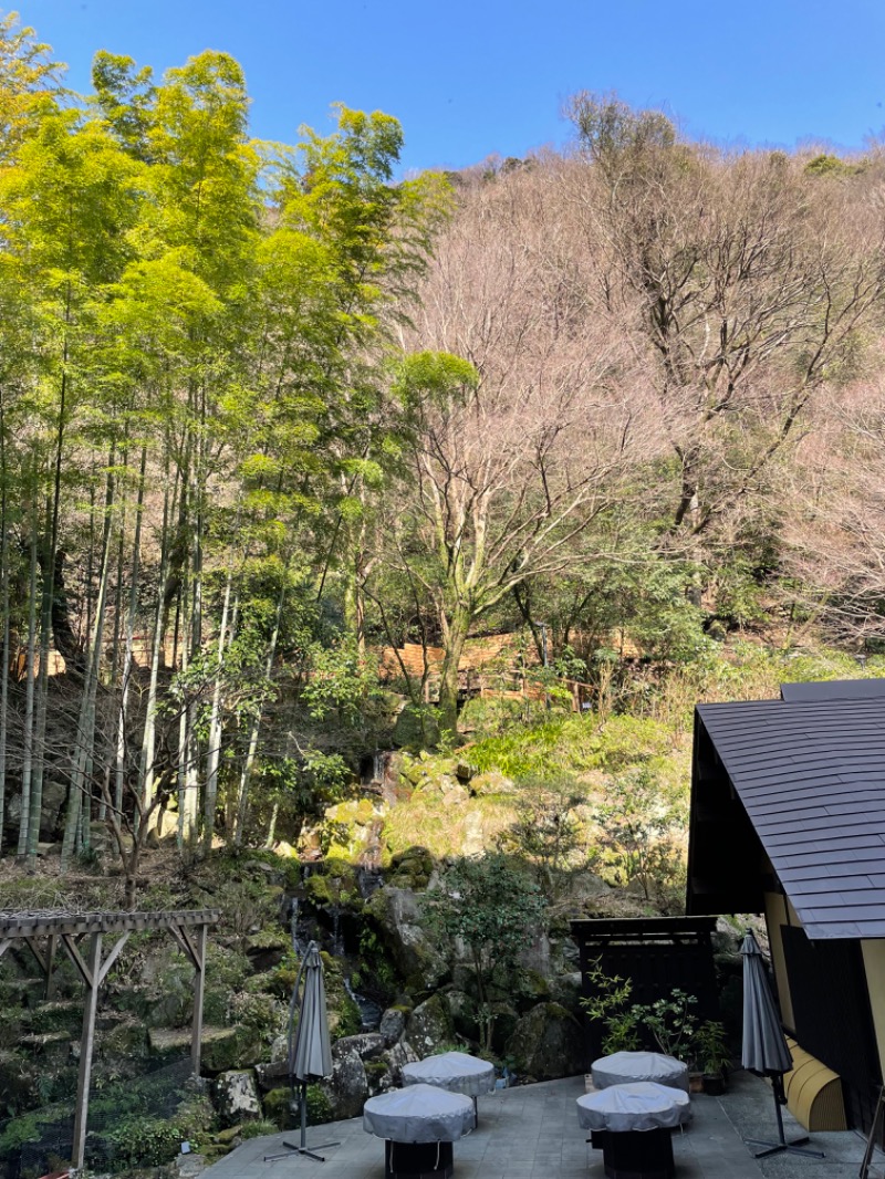 虫親父さんの箱根湯本温泉 天成園のサ活写真