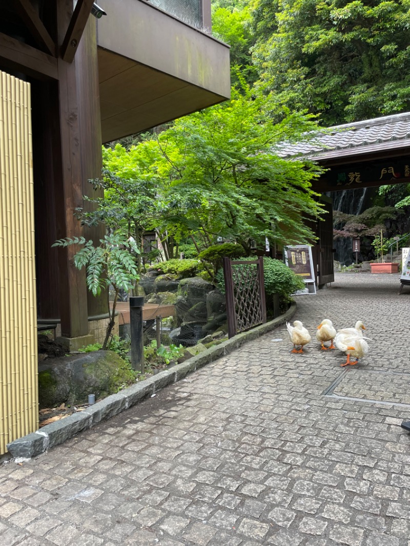 虫親父さんの箱根湯本温泉 天成園のサ活写真