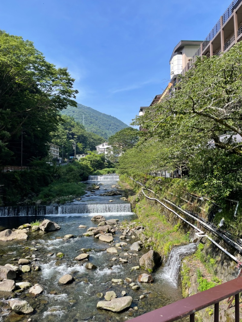 虫親父さんの箱根湯本温泉 天成園のサ活写真