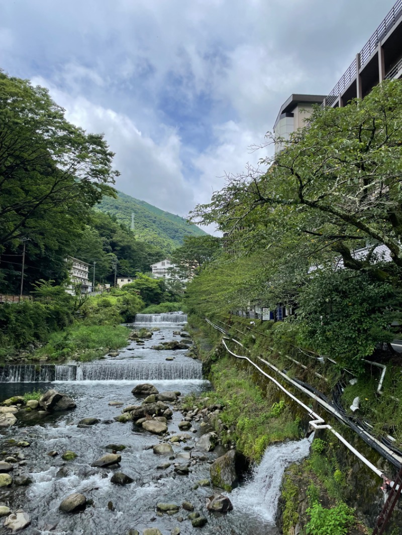 虫親父さんの箱根湯本温泉 天成園のサ活写真