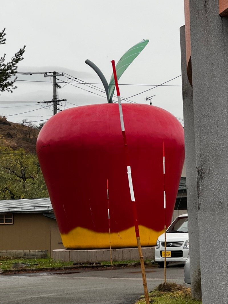 よーくんさんの横手市平鹿ときめき交流センターゆっぷるのサ活写真