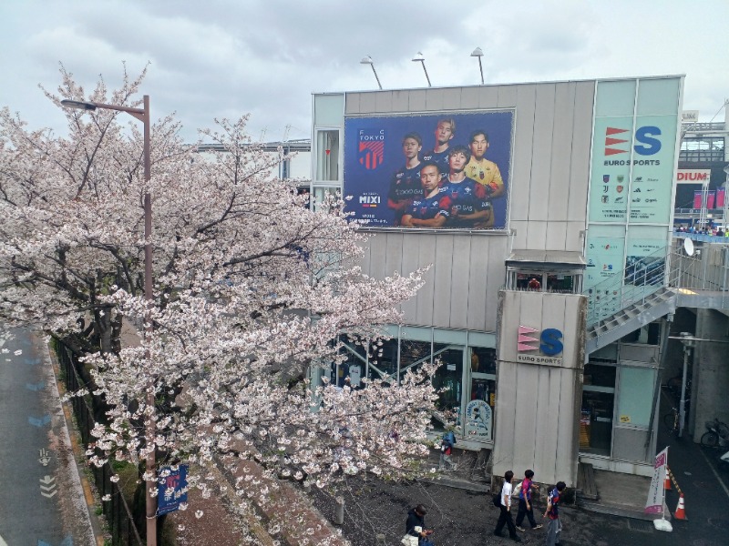 のぶさんの湯の郷ほのか 蘇我店のサ活写真